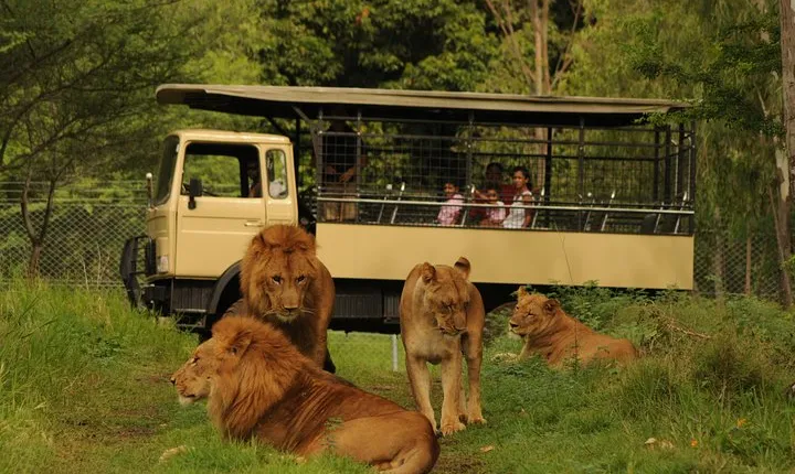 Casela World of Adventures, West of Mauritius - Full Day + Lunch