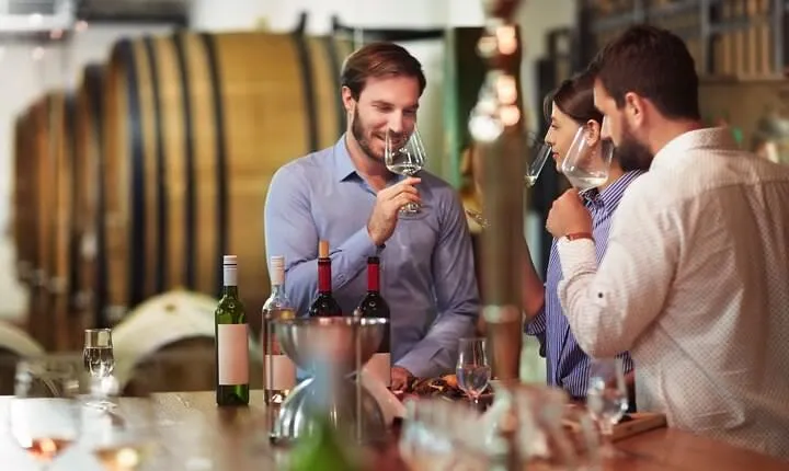 Full-Day Wine Tasting Tour in Athens with Visit to Cape Sounio