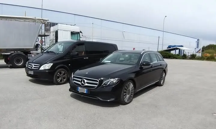 Venice Airport (VCE) to Venice - Round-Trip Private Transfer