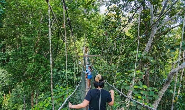 From Kuala Lumpur Taman Negara Day Trip With Lunch