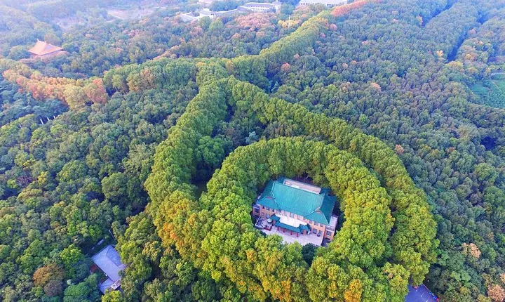 All-Inclusive Nanjing Purple Mountain Scenic Area Private Day Tour