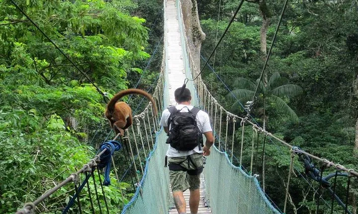 4-Day Tambopata National Reserve – Tambopata Peru Tours