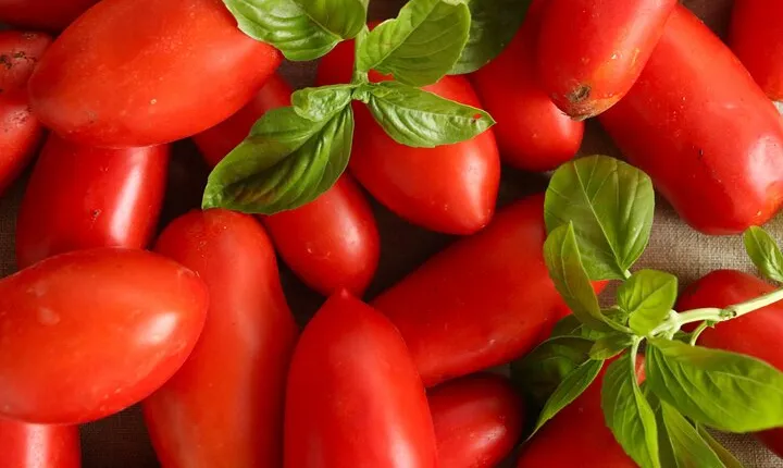 Tuscan World Famous Cuisine Activity with a Local Food Expert