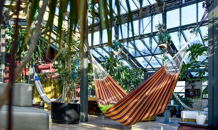 Széchenyi Thermal Spa Palm House Pass - Exclusive Area