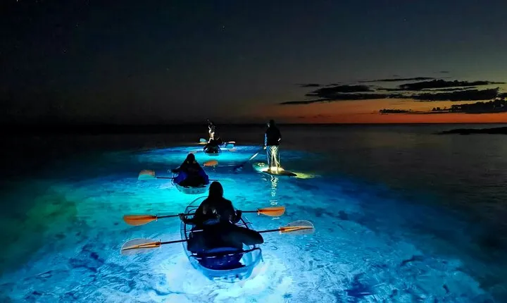 Transparent Kayak Night Glow Experience from Pula