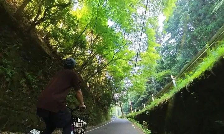 More than Just Bamboo Forest If You Have Our E-BIKE And the Guide