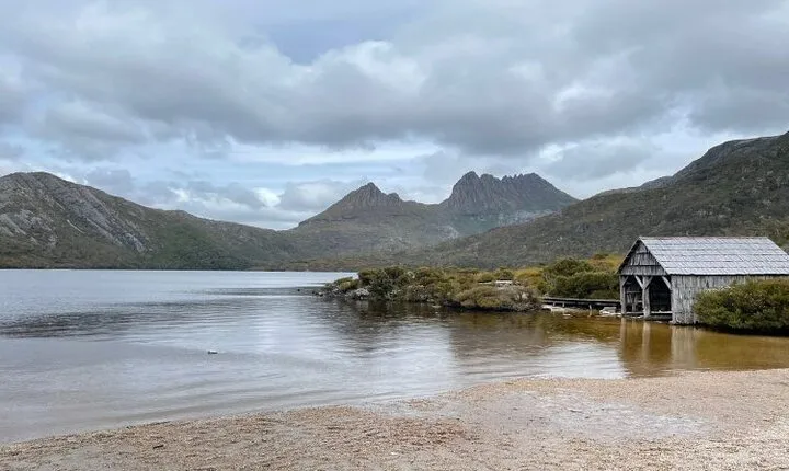 Cradle Mountain National Park Day Tour from Launceston