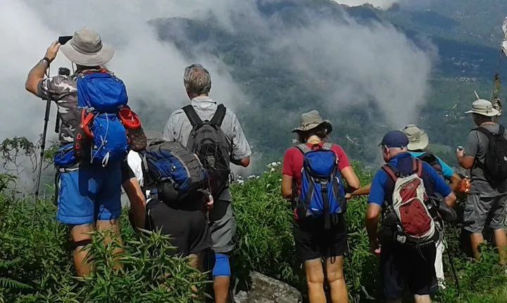 Trekking & Picnic in The Tea Plantation From Ella, Haputale & Bandarawela
