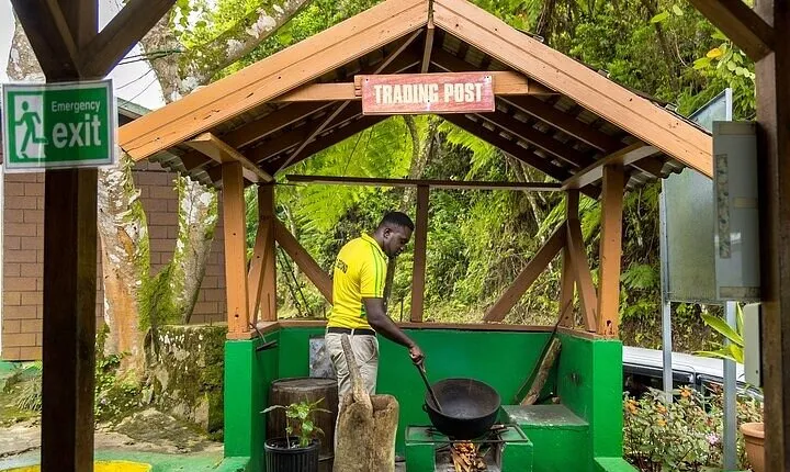 Full Day Blue Mountains Tour including Lunch