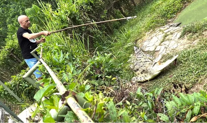 Private Reptile Zoo Adventure Tour with Guide in Cartagena