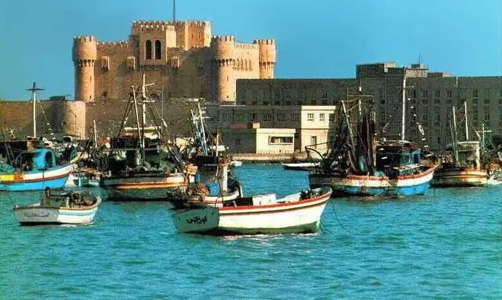 Private Day Tour from Cairo to Alexandria