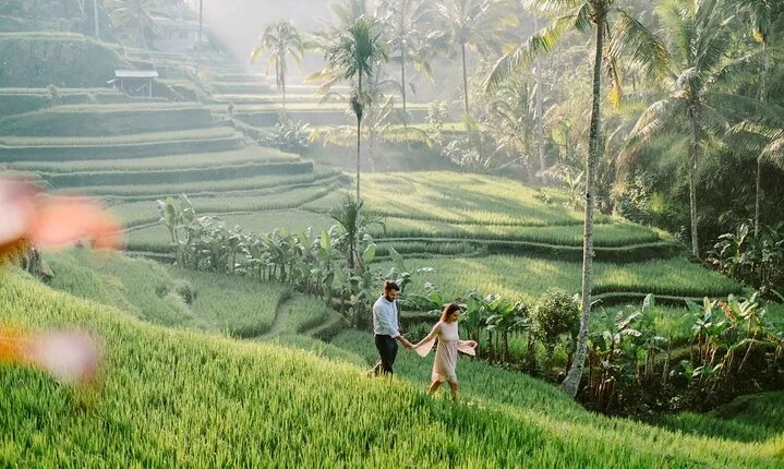Ubud - All Inclusive Private Day Tour