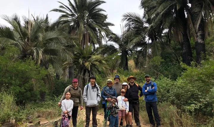 Private excursion to the palm forest in Viña del Mar