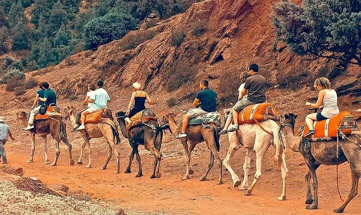 Atlas Mountains & Camel Ride Day Trip