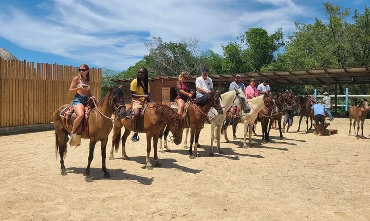 Roatan Tour with Horseback Ride Sloth Park and Glass Bottom Boat