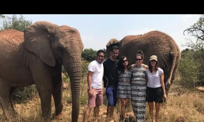 Elephant Walk Guided Tour from Johannesburg