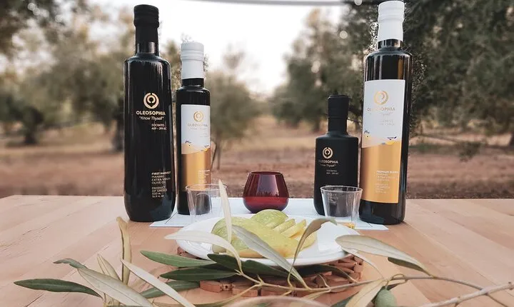 Mercedes Private Olive Tour & Wine Tour..in the fields