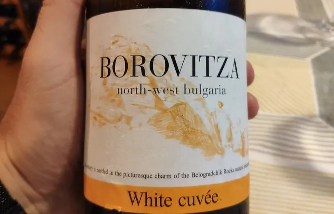 Vidin & Belogradchik Exquisite Wine Tasting