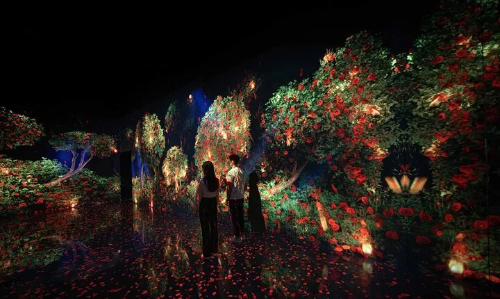 Arte Museum Dubai Admission Pass