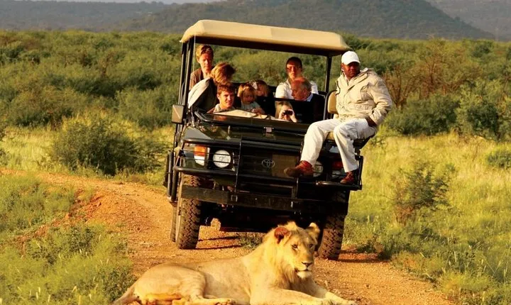 3 Days Kruger National Park from Johannesburg