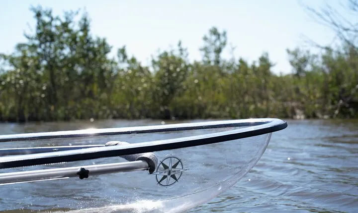 2-Hour Glass Bottom Guided Eco Tour in Flagler County-Small-group