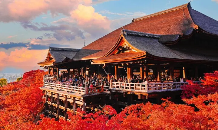 Private Kyoto Nara Private Tour from Osaka