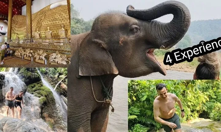 Sticky waterfalls, local market, Grand temple. Elephant Sanctuary