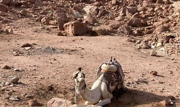 Overnight Tour Moses Mountain St. Catherine Monastery from Cairo