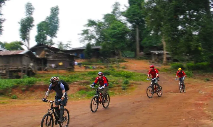 Chiang mai Hike & Downhill Bike Adventure –Suthep National Park