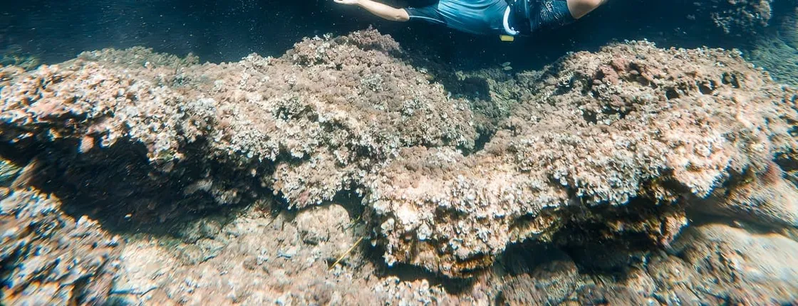 Majorca Guided Snorkelling Tour with Eco Island Adventure