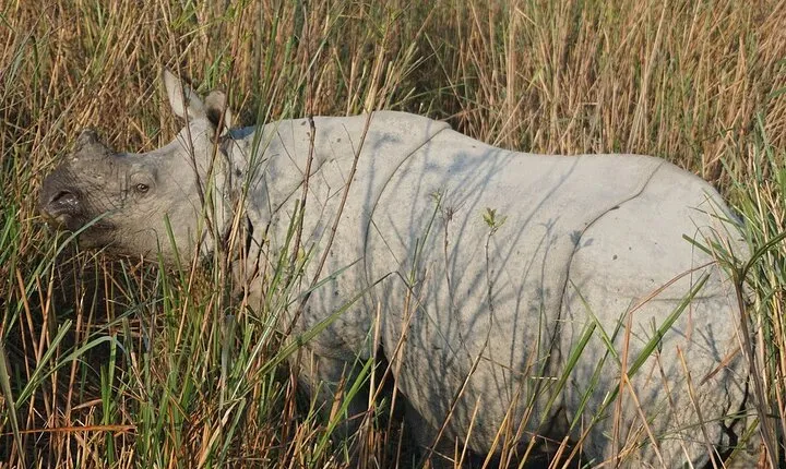 Meghalaya With Kaziranga