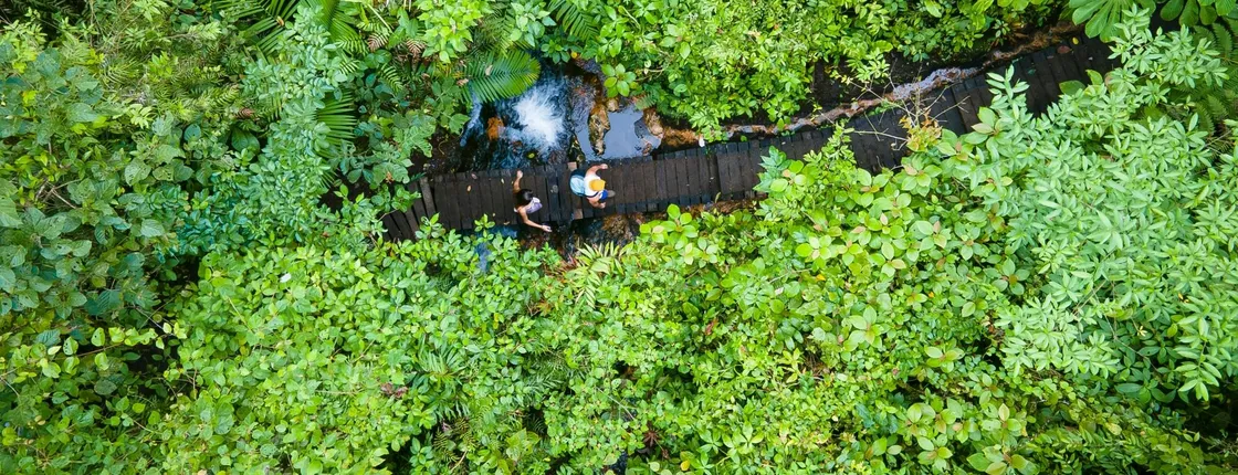 Sensoria Rainforest hiking tour