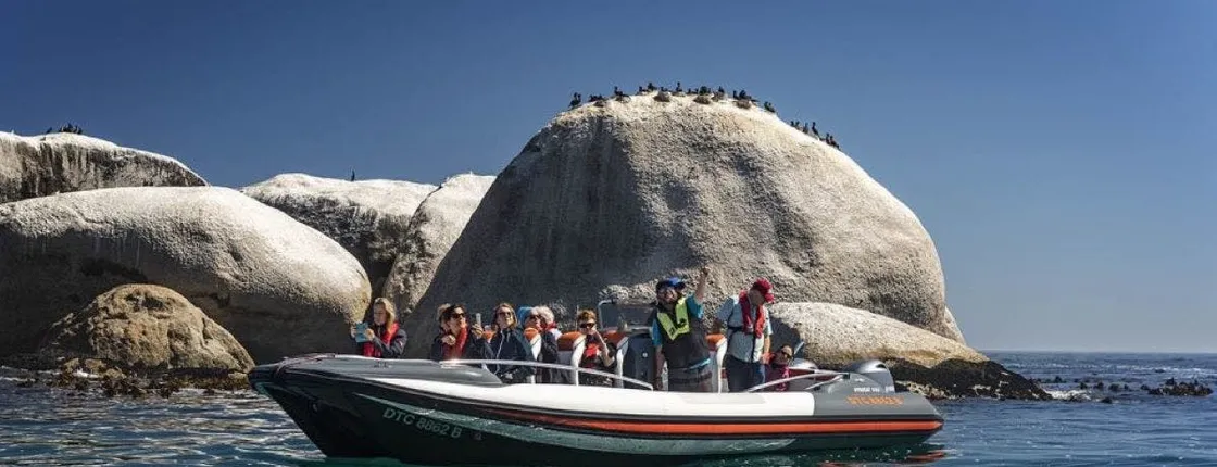 Cape Town Marine Wildlife Boat Cruise