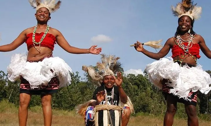 Giraffe Centre, Elephant Orphanage &Bomas Cultural Dances DayTour