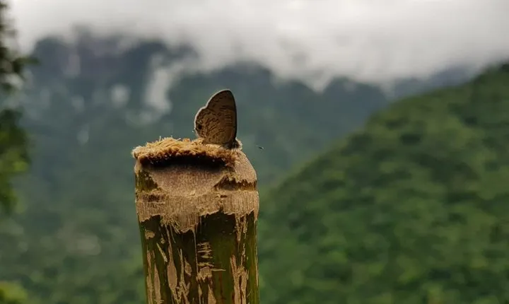 4D/3N Glimpse of Meghalaya