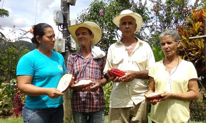 Private tour: Peacebuilding in Antioquia - From Coca Fields to Cocoa!