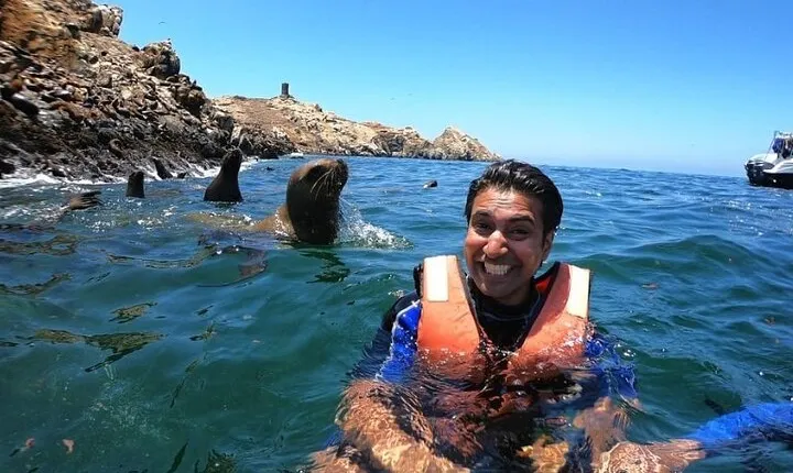 Swimming with Sea Lions in Islas Palomino Lima