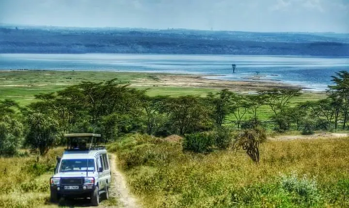 Full Day Lake Nakuru Park and optional boat ride on Lake Naivasha