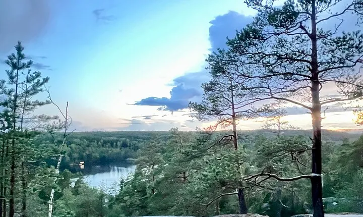 Forest Bathing Experience in Nuuksio National Park
