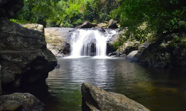 Small-Group Pala U Waterfall Jungle Tour from Hua Hin