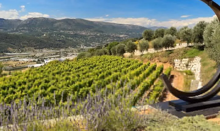 Full-day Wine Tour in Bellet & Saint-Paul de Vence from Nice