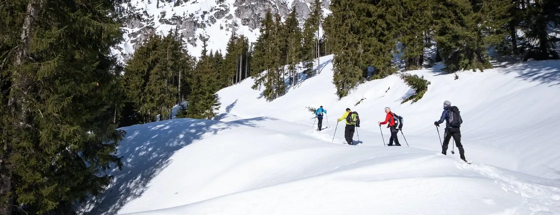 Private snowshoeing tour in Janosik Gorge