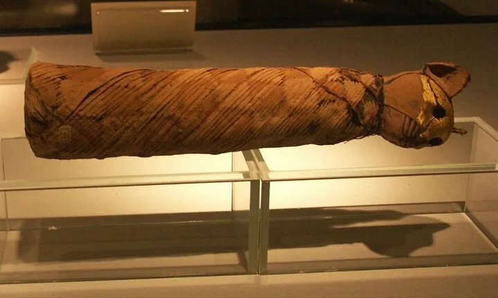 Private Tour Luxor Museum & Mummification Museum with Transport