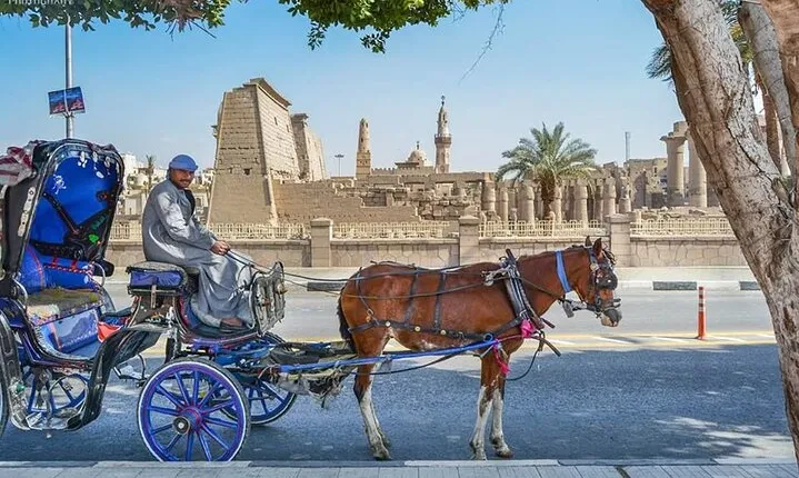 1 Hour Private Horse Ride Tour at Luxor City