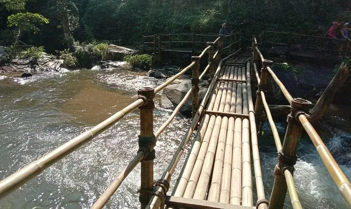 Morning Hiking Doi Inthanon Plus Pachor the Grand Canyon