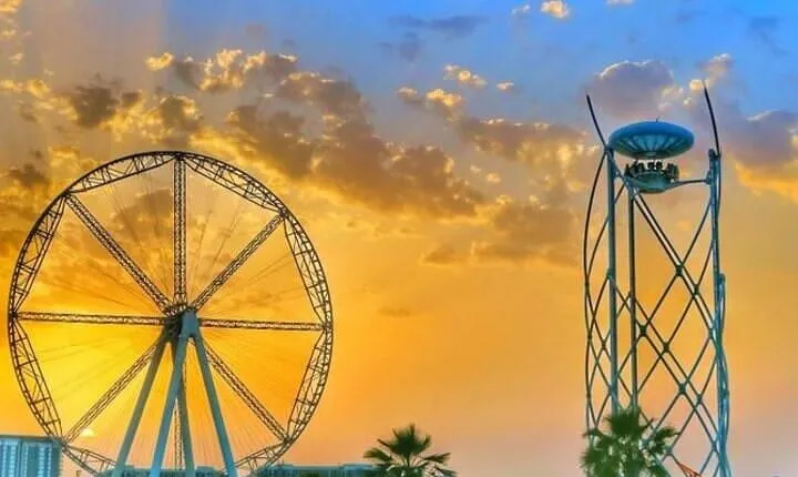 Flying Cup Dubai Experience Tickets with Meal Options 