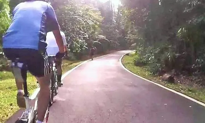 Private Half-Day National Botanic Garden Cycling Tour from Kuala Lumpur