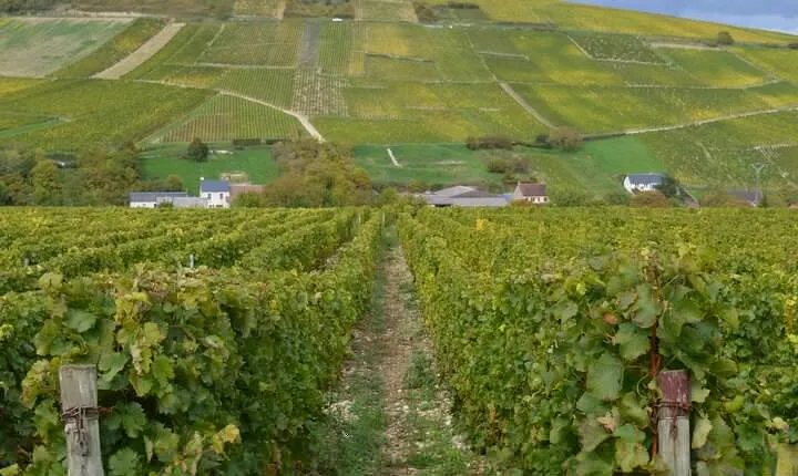 Paris Wine Day Tours exclusive wine tour in the Sancerre area