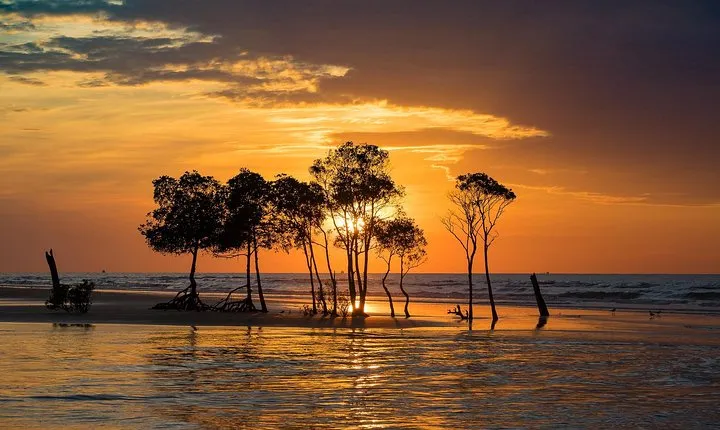 Explore Delightful Darwin: Self-Guided Audio Tour