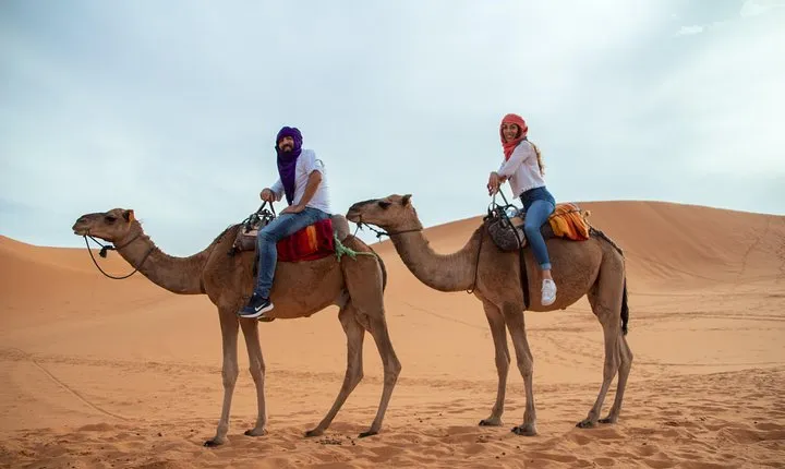  Zagora—Sahara Desert | 2 days & 1 night 